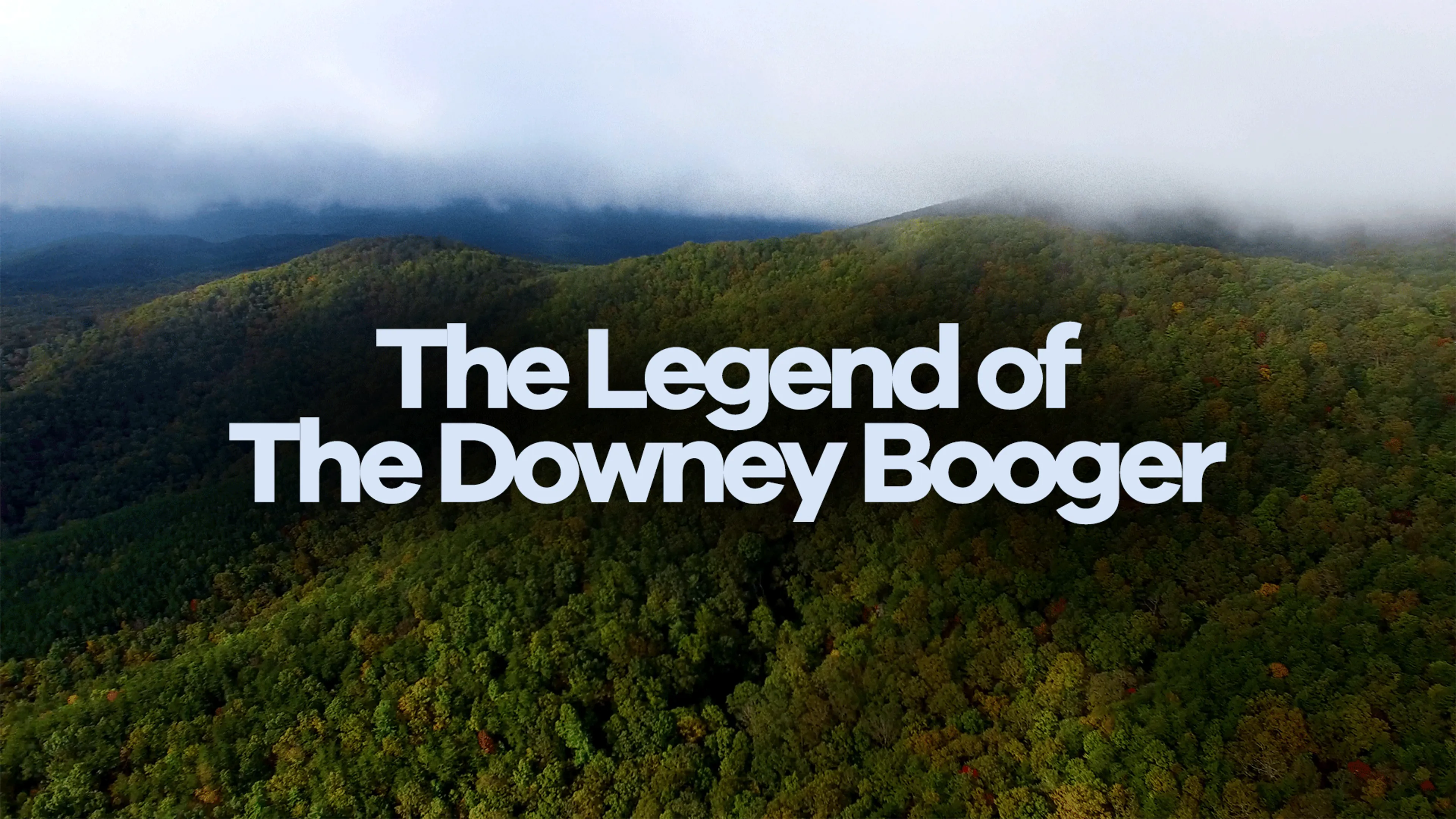 The Legend of The Downey Booger poster